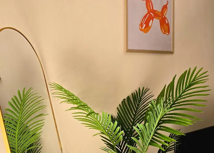 Living - Cozy Shkodra